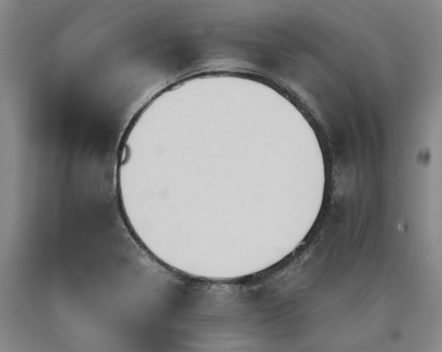 X0000090931322200707301545