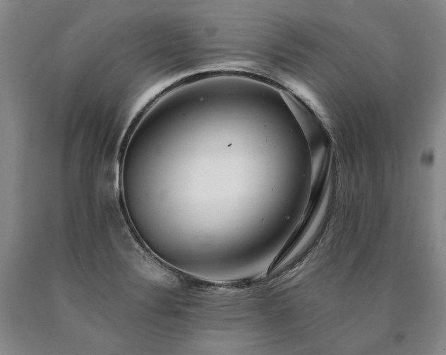 X0000090931324200707301545