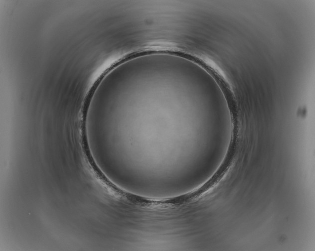X0000090931325200707301545