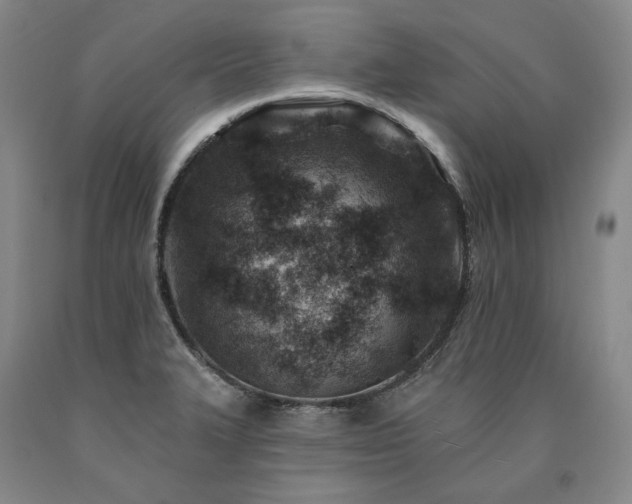 X0000090931327200707301545