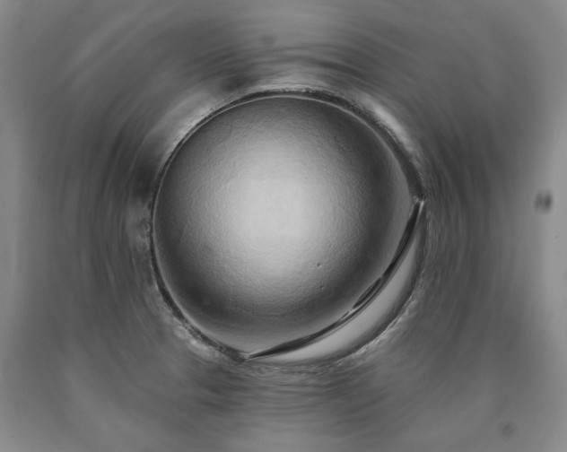 X0000090931329200707301545
