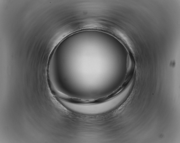 X0000090931330200707301546