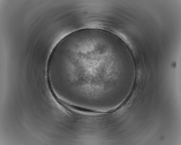 X0000090931331200707301546