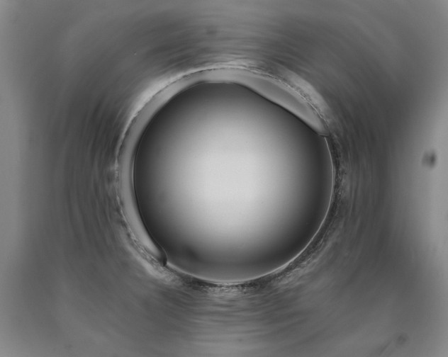 X0000090931332200707301546