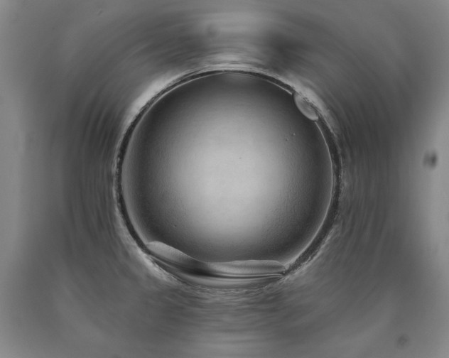 X0000090931333200707301546
