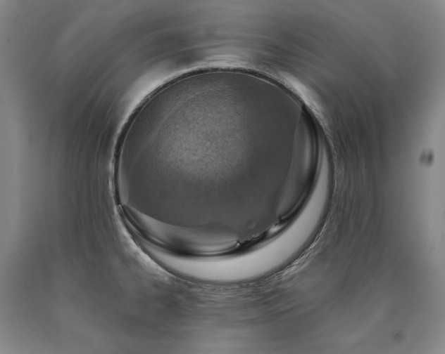 X0000090931334200707301546
