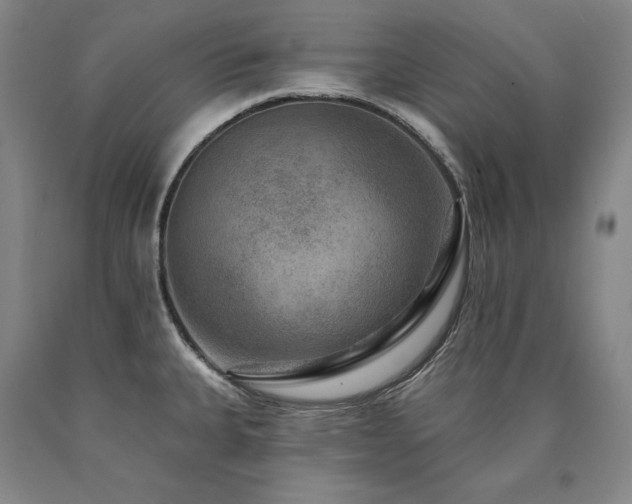 X0000090931335200707301546