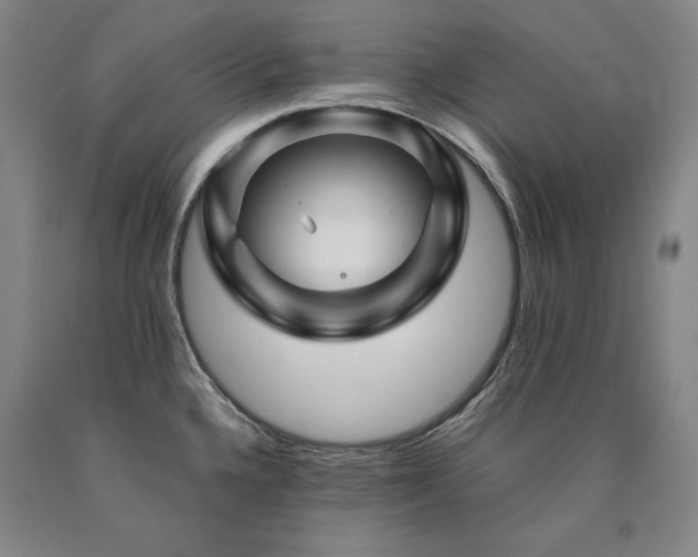 X0000090931336200707301546