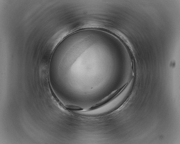 X0000090931337200707301546