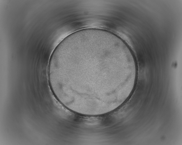 X0000090931338200707301546