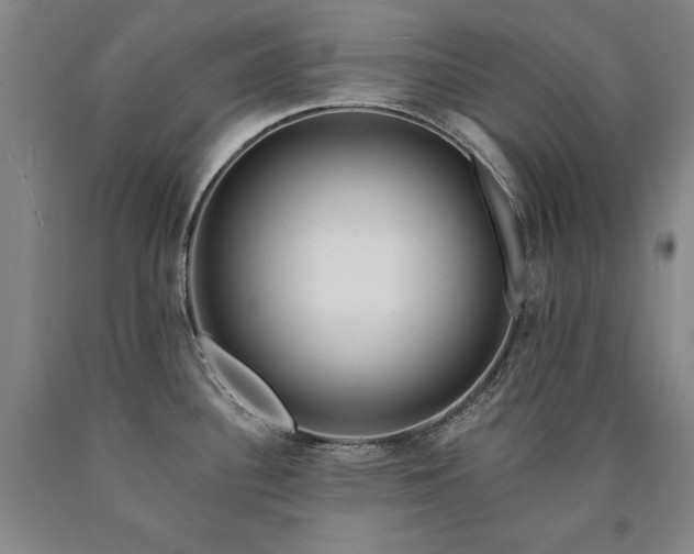 X0000090931340200707301546