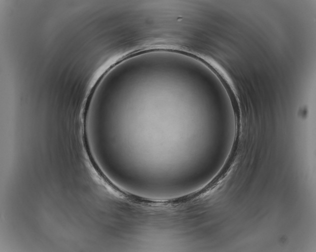 X0000090931341200707301546