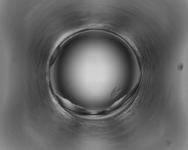 X0000090931342200707301546