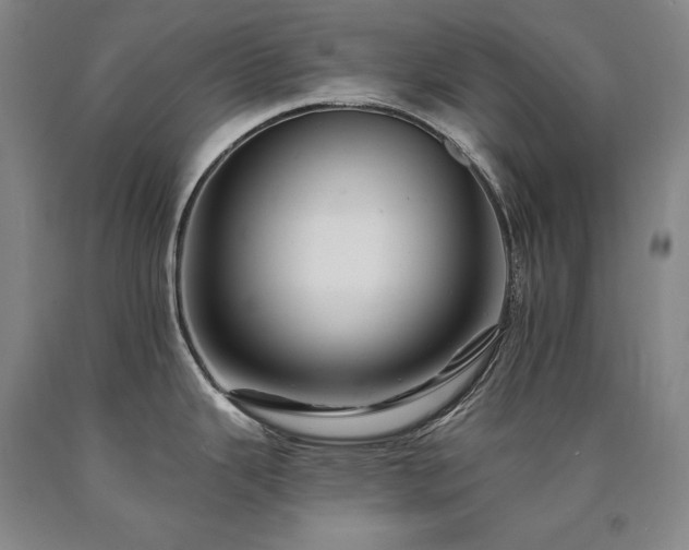 X0000090931343200707301546