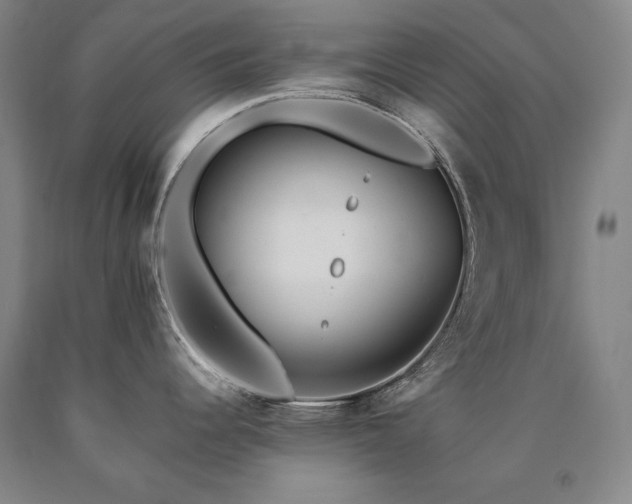 X0000090931344200707301546