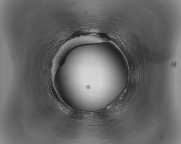 X0000090931345200707301545