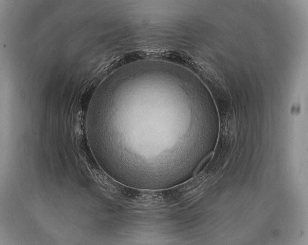X0000090931346200707301545