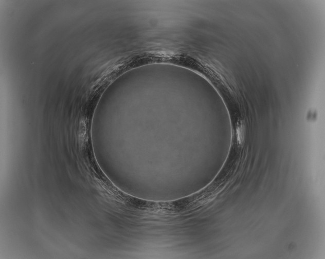 X0000090931347200707301545