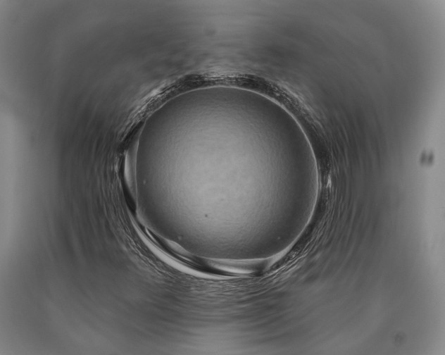 X0000090931348200707301545