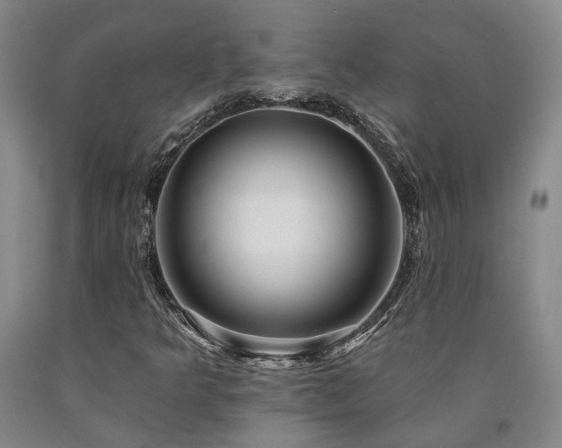X0000090931349200707301545