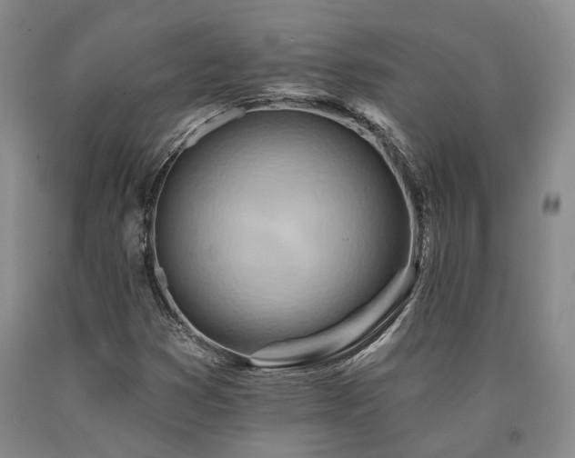 X0000090931353200707301545