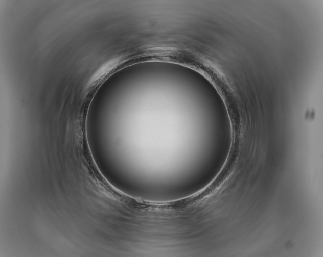 X0000090931354200707301545