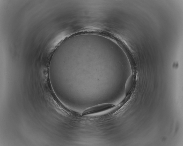 X0000090931355200707301545