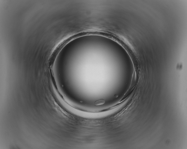 X0000090931356200707301545