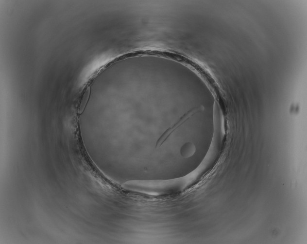 X0000090931359200707301545