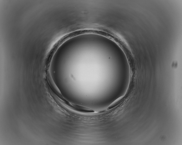 X0000090931360200707301545