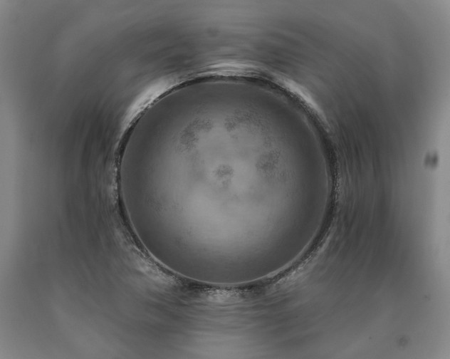 X0000090931362200707301545