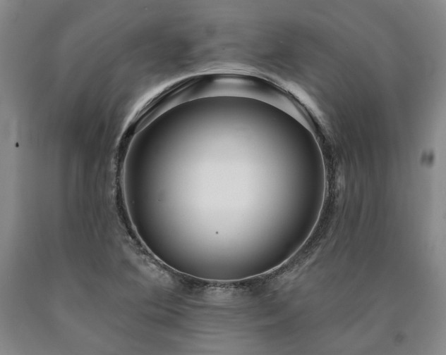 X0000090931364200707301545