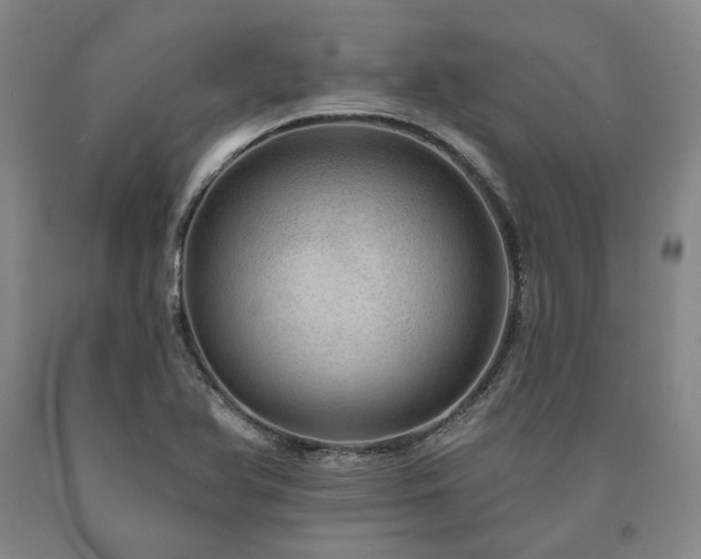 X0000090931366200707301545