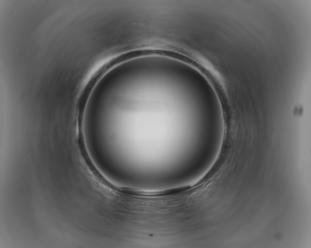 X0000090931368200707301545