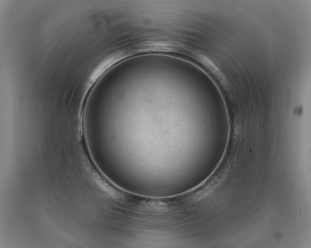 X0000090931370200707301545