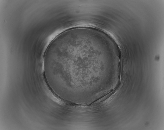 X0000090931371200707301545