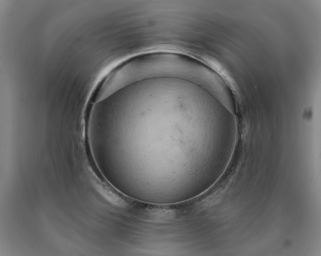 X0000090931372200707301545