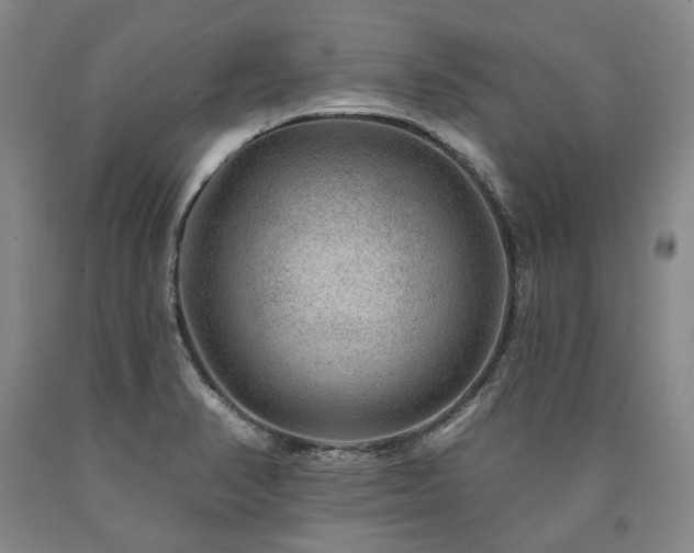 X0000090931374200707301545