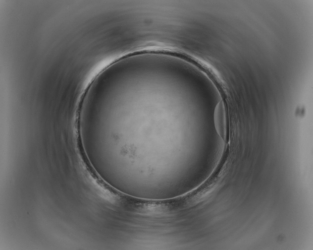 X0000090931375200707301545