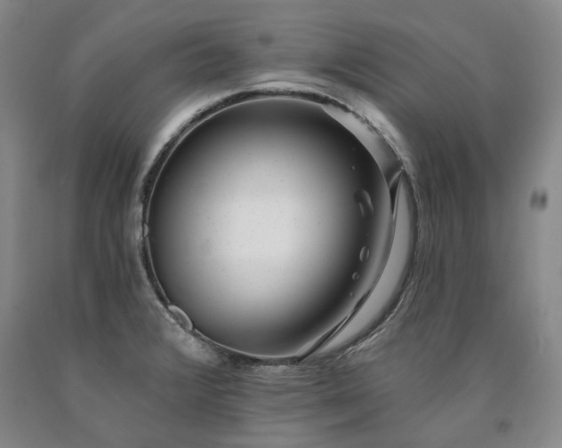 X0000090931376200707301545