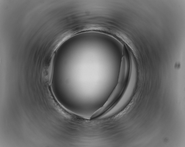 X0000090931377200707301545