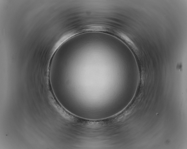 X0000090931378200707301545