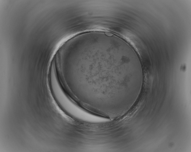 X0000090931379200707301545