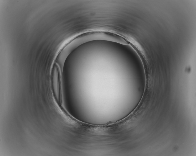 X0000090931380200707301545