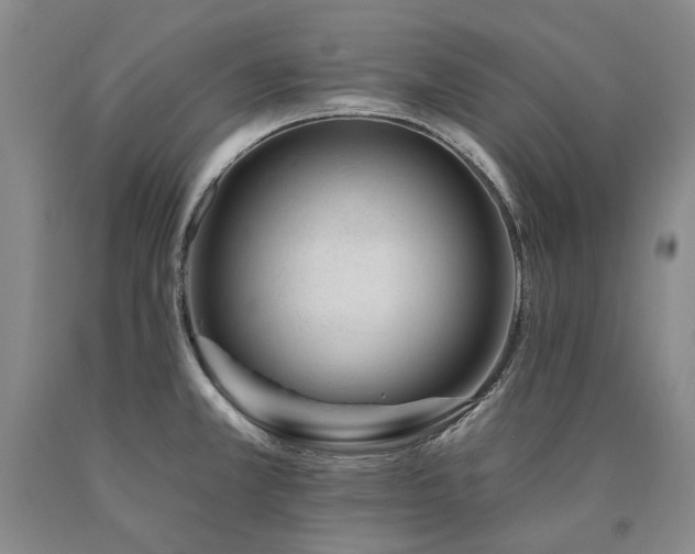 X0000090931381200707301545