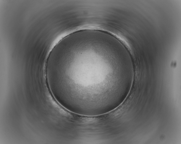 X0000090931382200707301545