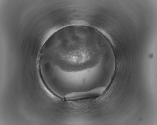 X0000090931383200707301545