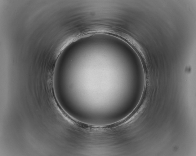 X0000090931385200707301545