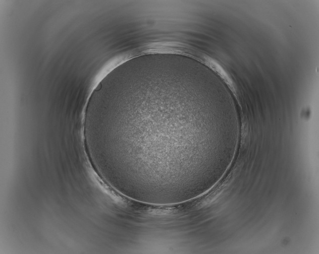 X0000090931386200707301545
