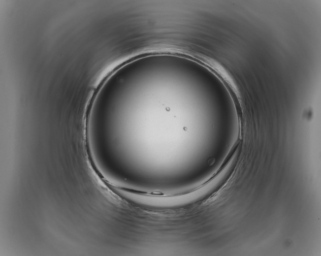 X0000090931388200707301545